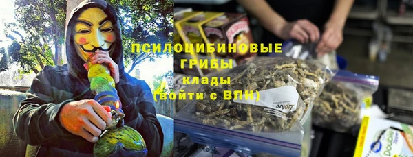 ешки Балахна