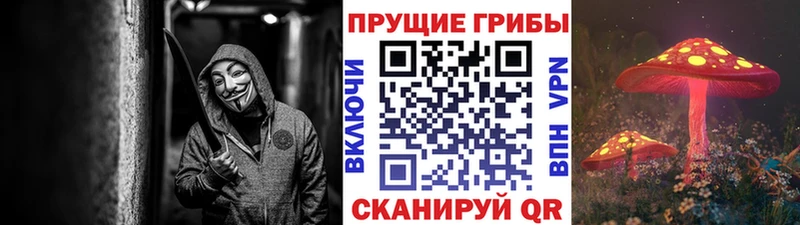 ссылка на мегу маркетплейс  Озёрск  Псилоцибиновые грибы прущие грибы 
